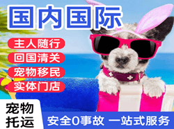 承德普宁机场快递国际宠物托运 【国